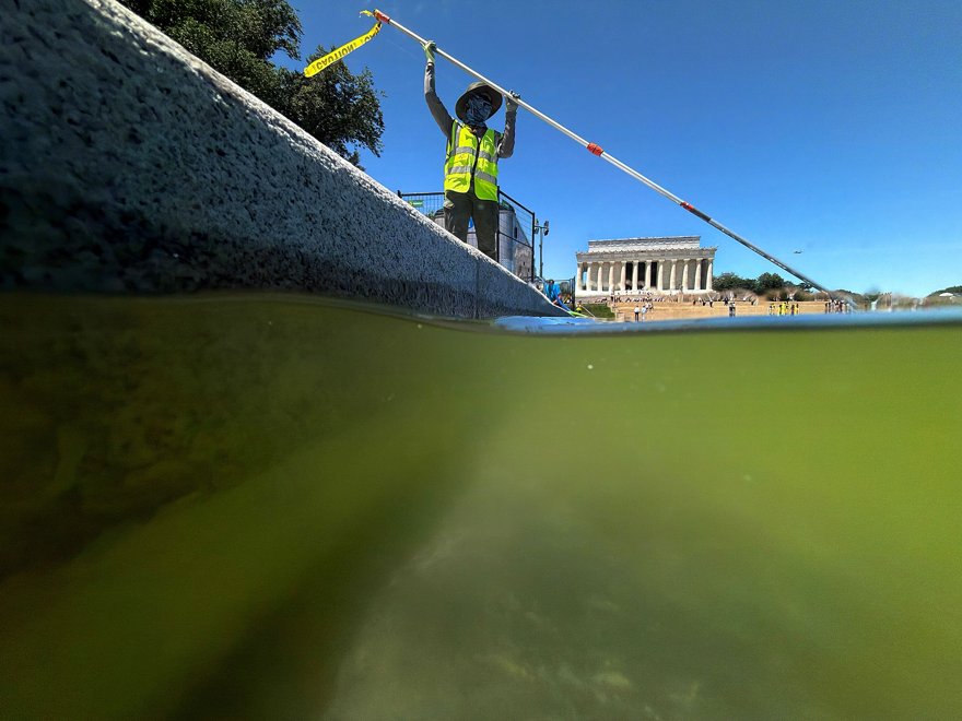 A single tourist crouching to poke a bright blue empty pool, phone out.
